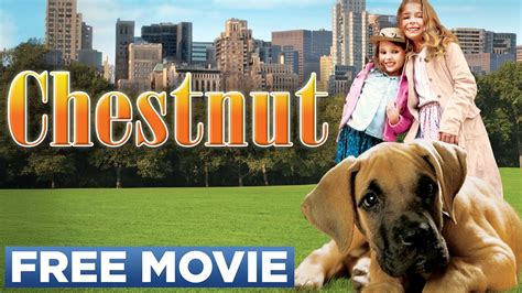 hostel adventure with two bitches.|Chestnut: Hero of Central Park (2004) .